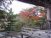 foto_20081115_1511_02