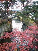 foto_20081115_1513_02