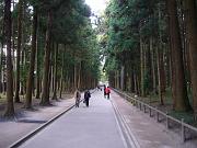 foto_20081115_1518_01