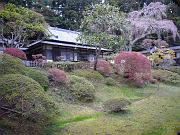 foto_20081115_1532_01