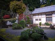 foto_20081115_1536_02