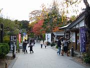 foto_20081115_1544_01