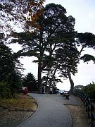 foto_20081115_1614_02