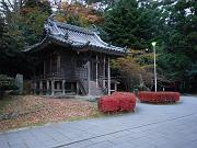 foto_20081115_1614_03