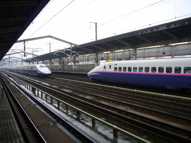 foto_20081116_1044_02.jpg - [de]Unser Shinkansen wird vom Folgezug überholt (rasendschnell).[en]Our shinkansen train is already passed by the follow-on train (and it's passing really fast).