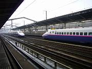 foto_20081116_1044_02