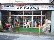 foto_20081116_1516_01