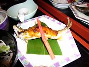 foto_20081116_1836_01