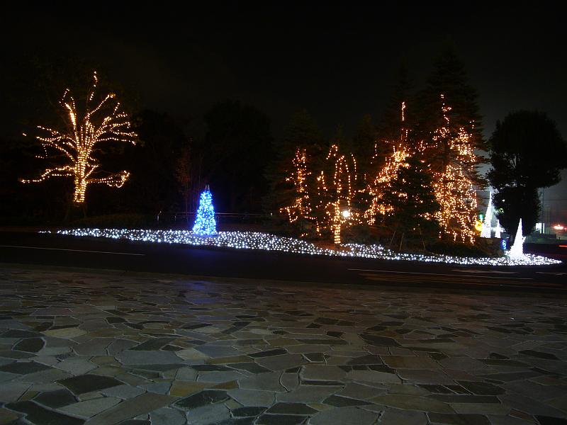 foto_20081117_2217_02.jpg - [de]Weihnachtliche Stimmung an der Zufahrt zum Flughafenhotel.[en]Our hotel at the airport is already in Christmas mood.