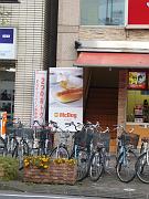 foto_20081117_1522_02