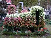 foto_20081117_1534_02