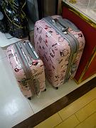 foto_20081117_1750_01