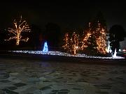 foto_20081117_2217_02