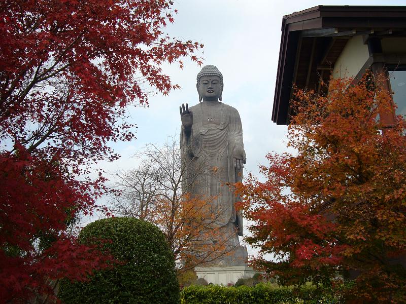 foto_20081118_1248_02.jpg - [de]Mit Herbstlaub sieht der Buddha auch gut aus.[en]Some autumn leaves to surround the big Buddha.
