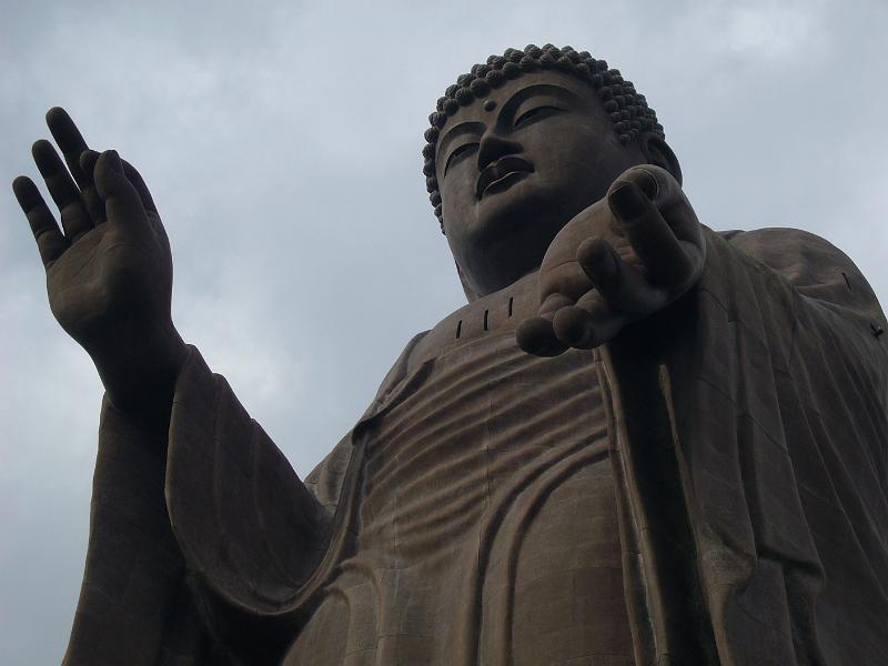 foto_20081118_1256_02.jpg - [de]Mächtig sieht er aus.[en]Power and kindness are his expressions.