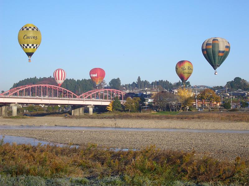foto_20081121_0728_02.jpg - [de]Es reicht allerdings nicht für alle auf diese Uferseite.[en]But most of them miss this side of the river bank.