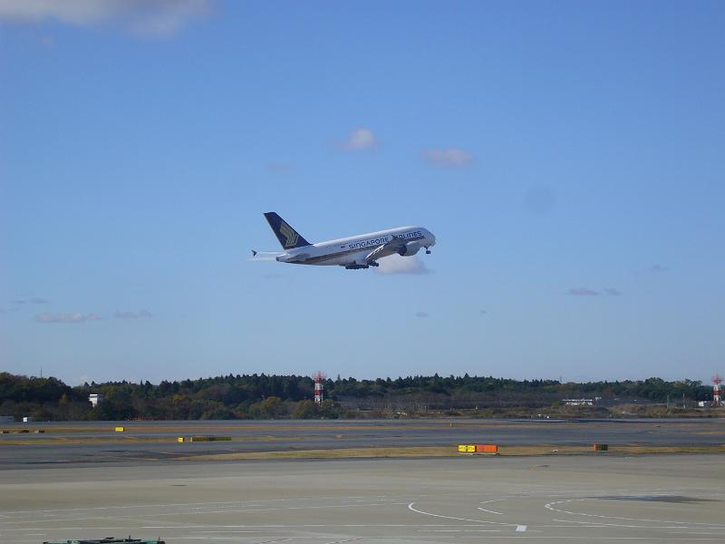 foto_20081125_1145_01.jpg - [de]Der auch recht schwerfällig in die Luft kommt.[en]And it seems pretty heavily loaded.