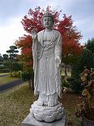 foto_20081118_1249_01