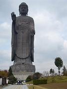 foto_20081118_1250_02