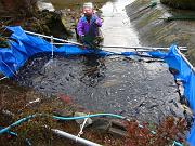 foto_20081118_1254_03