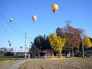 foto_20081121_0817_02