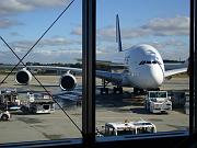 foto_20081125_1125_01